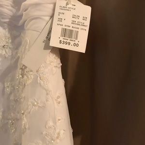 Wedding Dress and Veil